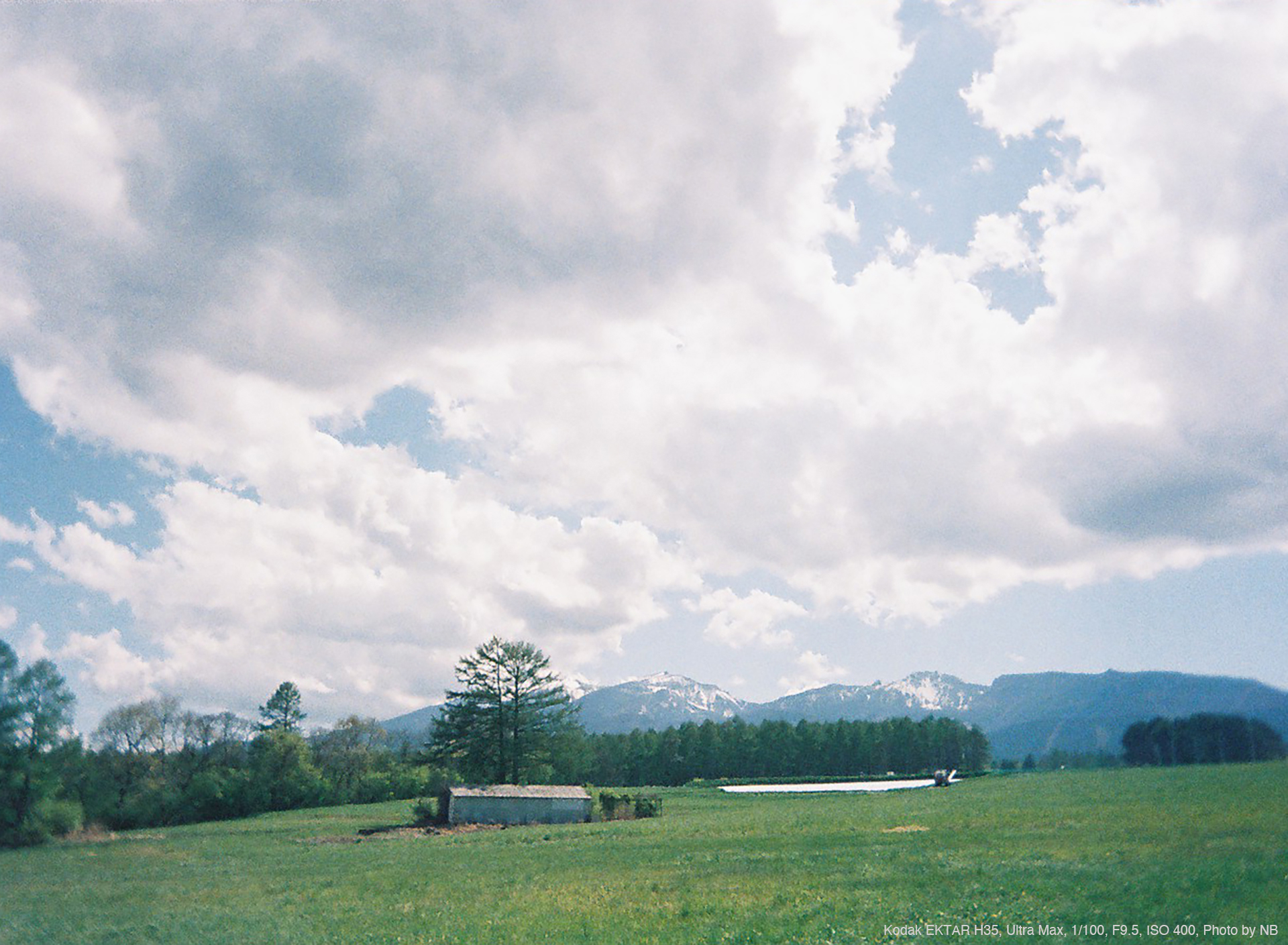 Kodak EKTAR H35, Ultra Max, 1/100, F9.5, ISO 400, Photo by NB