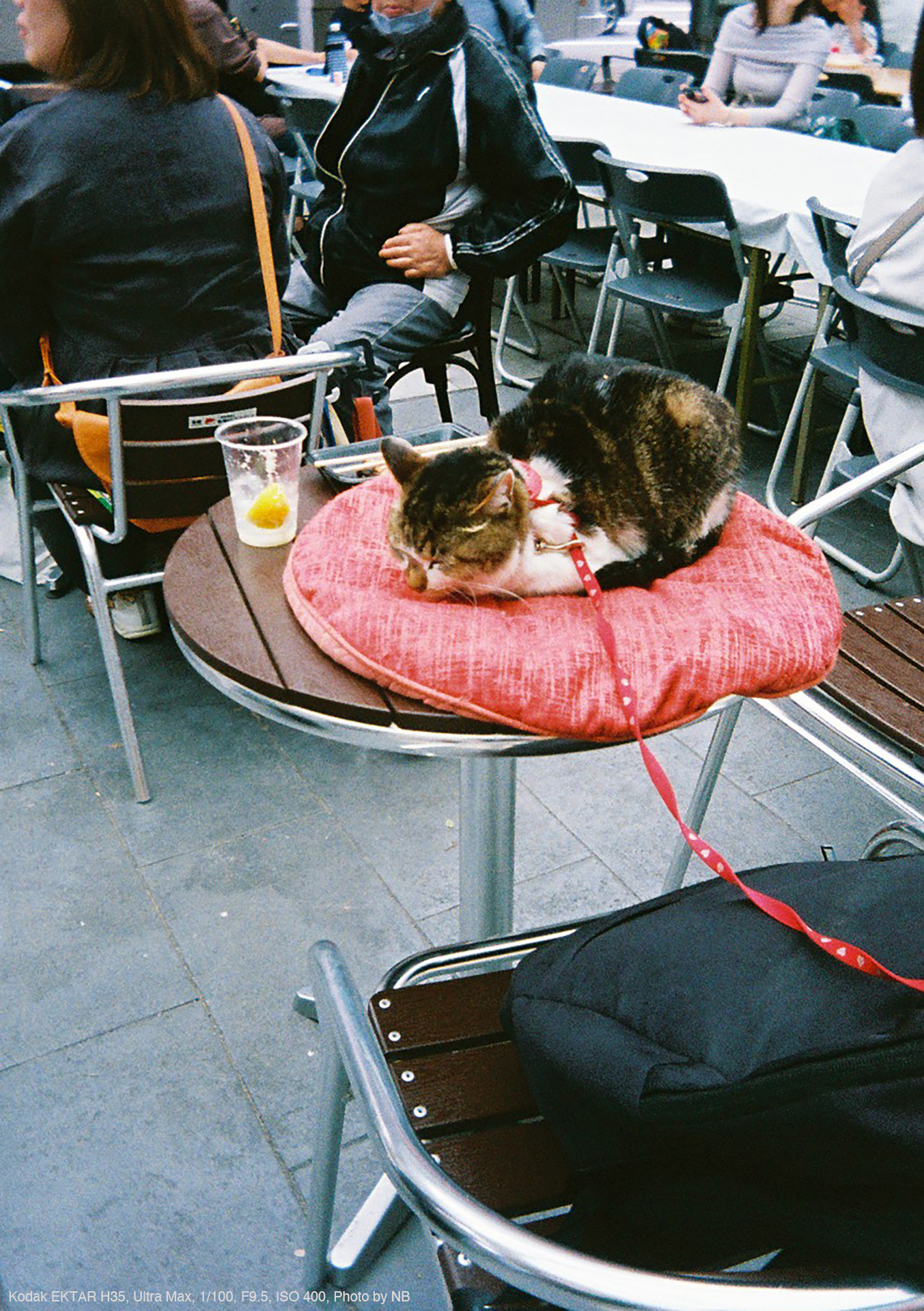 Kodak EKTAR H35, Ultra Max, 1/100, F9.5, ISO 400, Photo by NB