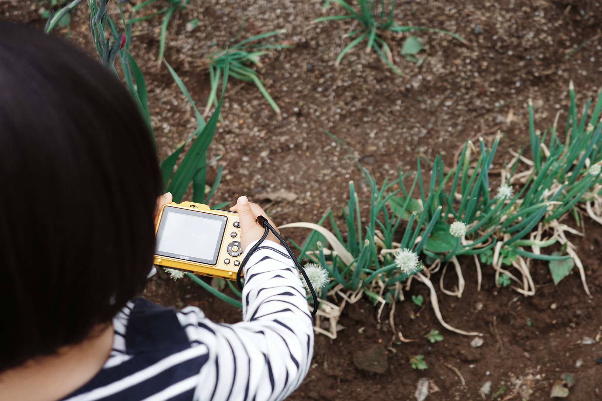 Kodak PIXPRO WPZ2, Photo by haru & Serow