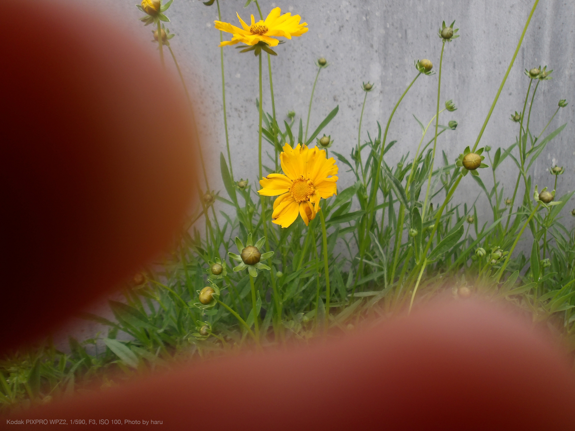 Kodak PIXPRO WPZ2, Photo by haru & Serow