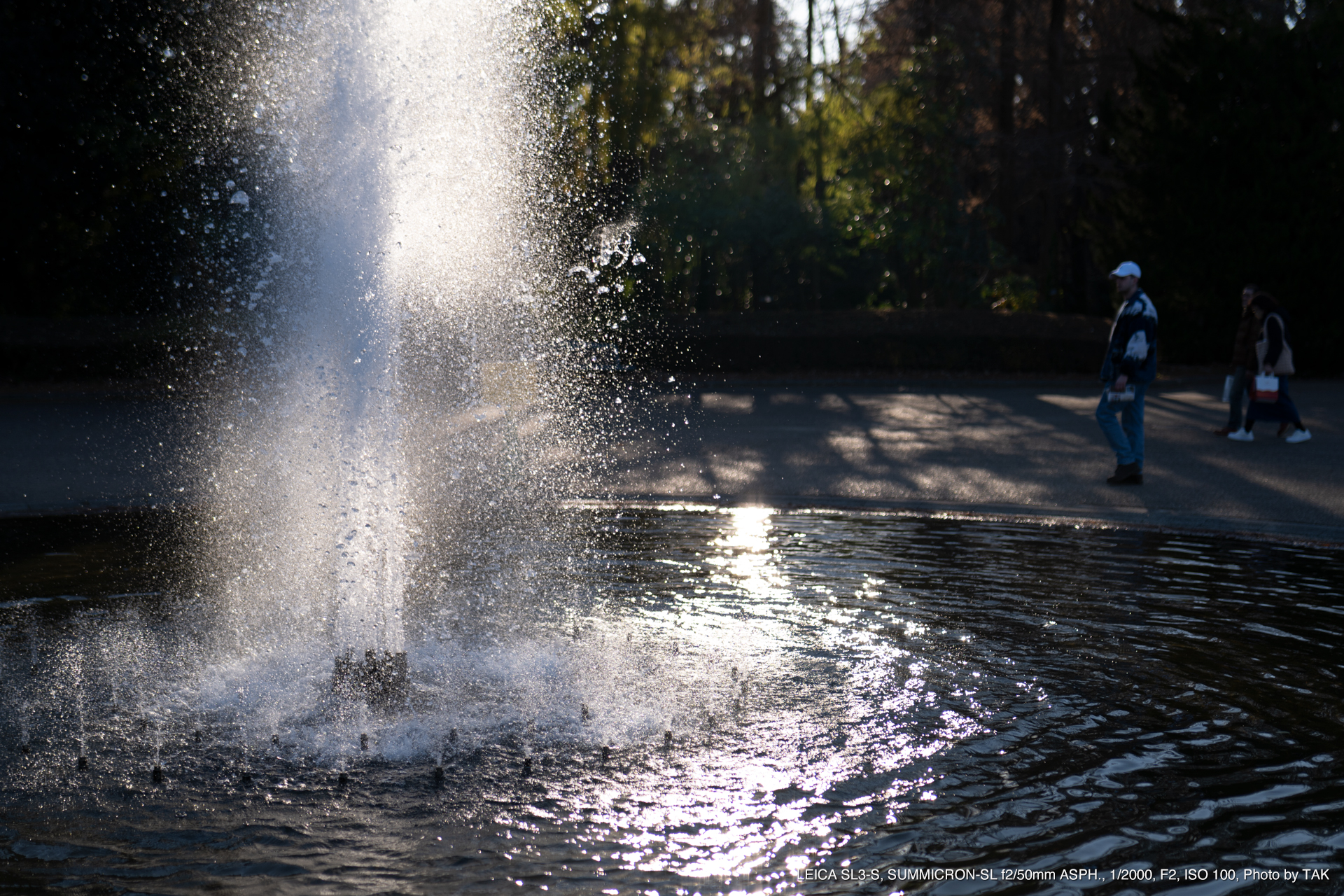 LEICA SL3-S, SUMMICRON-SL f2/50mm ASPH., Photo by TAK