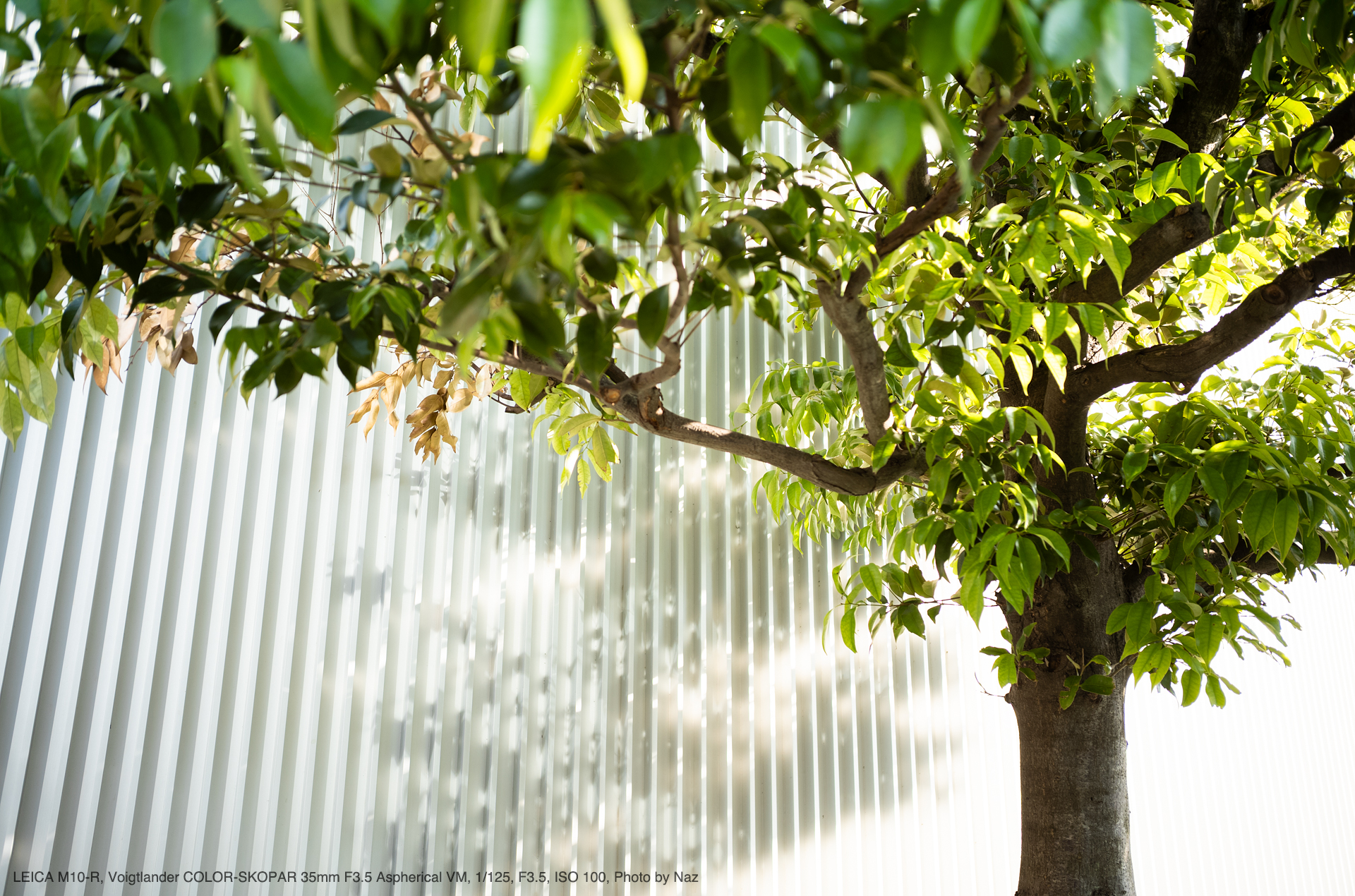 Leica M10-R, Voigtlander COLOR-SKOPAR 35mm F3.5 Aspherical VM, Photo by Naz