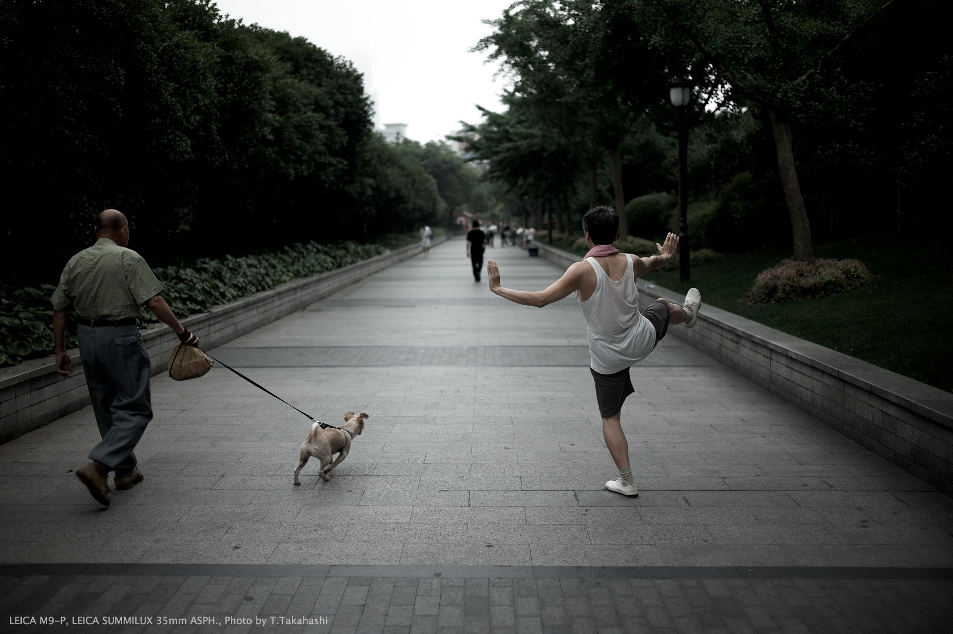 LEICA M9-P, LEICA SUMMILUX 35mm ASPH., Photo by T.Takahashi