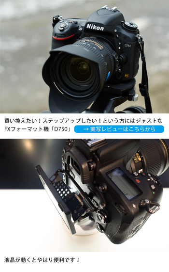 Nikon D750 実写レビュー