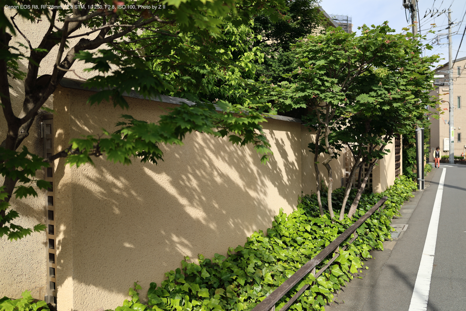 Canon EOS R8, RF 28mm F2.8 STM, Photo by Z II
