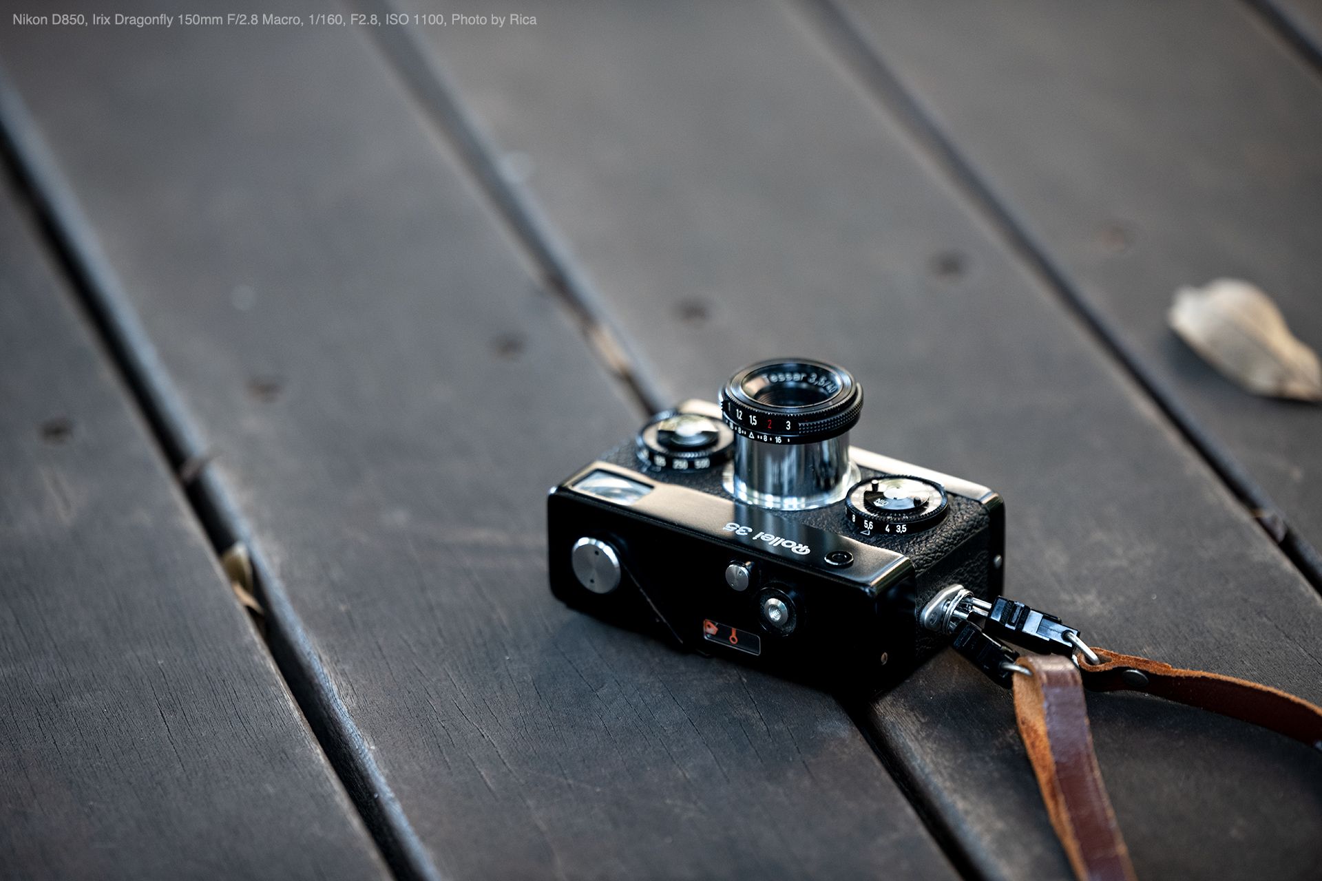 Nikon D850, Irix 150mm F2.8 Macro, Photo by Rica