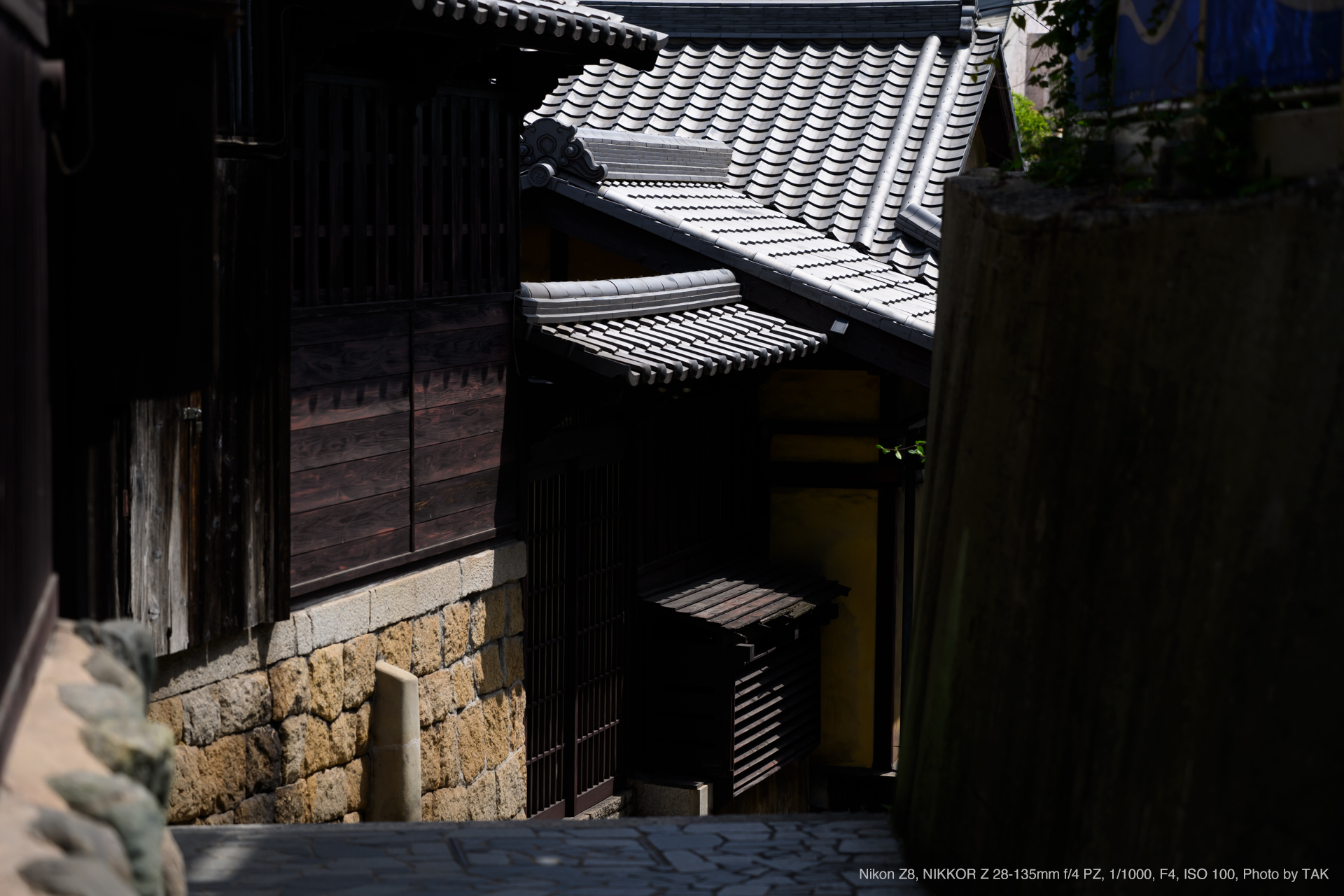 Nikon Z8, NIKKOR Z 28-135mm f/4 PZ, Photo by TAK