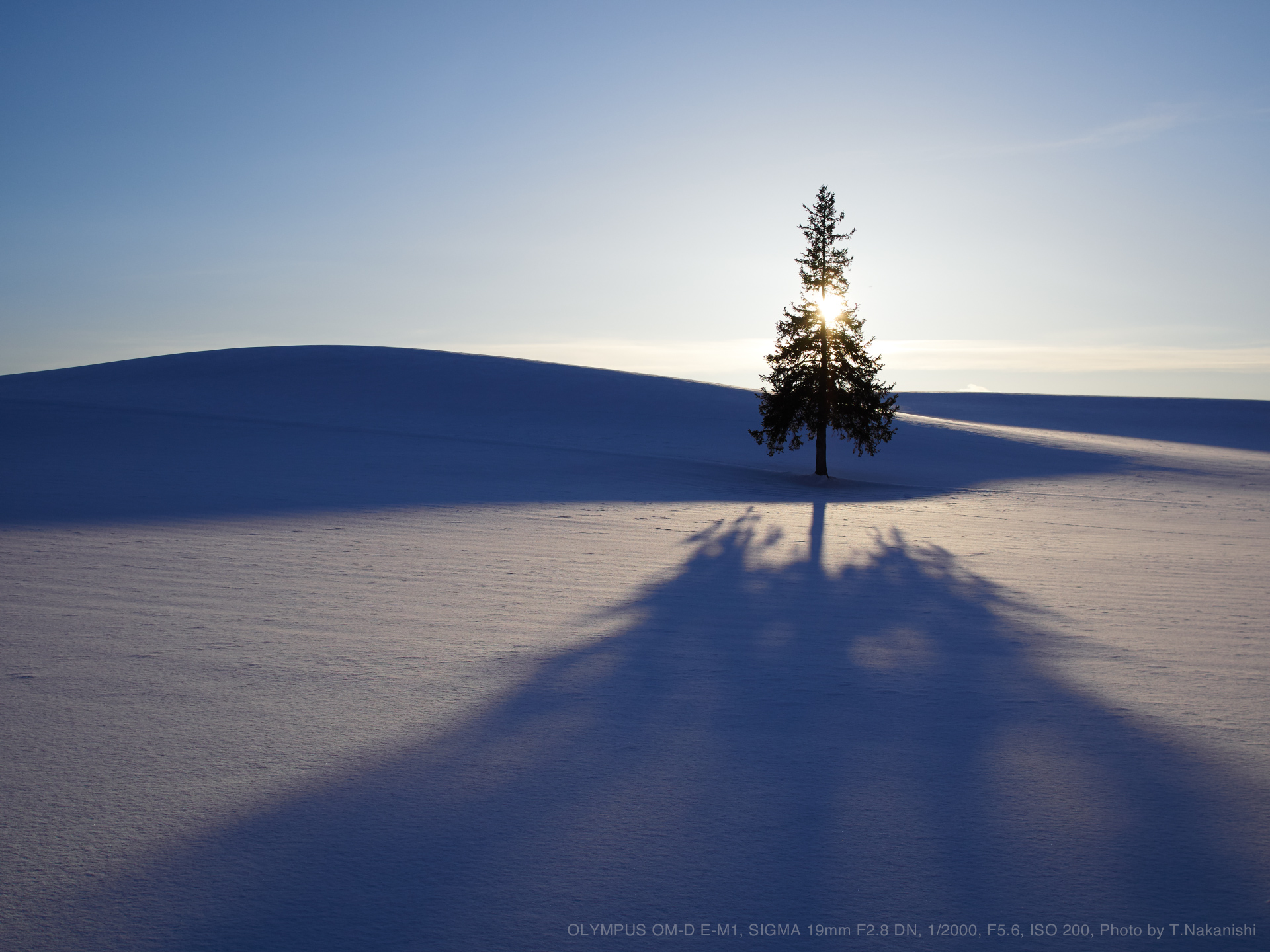 OLYMPUS OM-D E-M1, SIGMA 19mm F2.8 DN, 1/2000, F5.6, ISO 200, Photo by T.Nakanishi