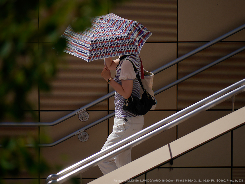 Panasonic（パナソニック） LUMIX G VARIO 45-200mm F4.0-5.6 MEGA