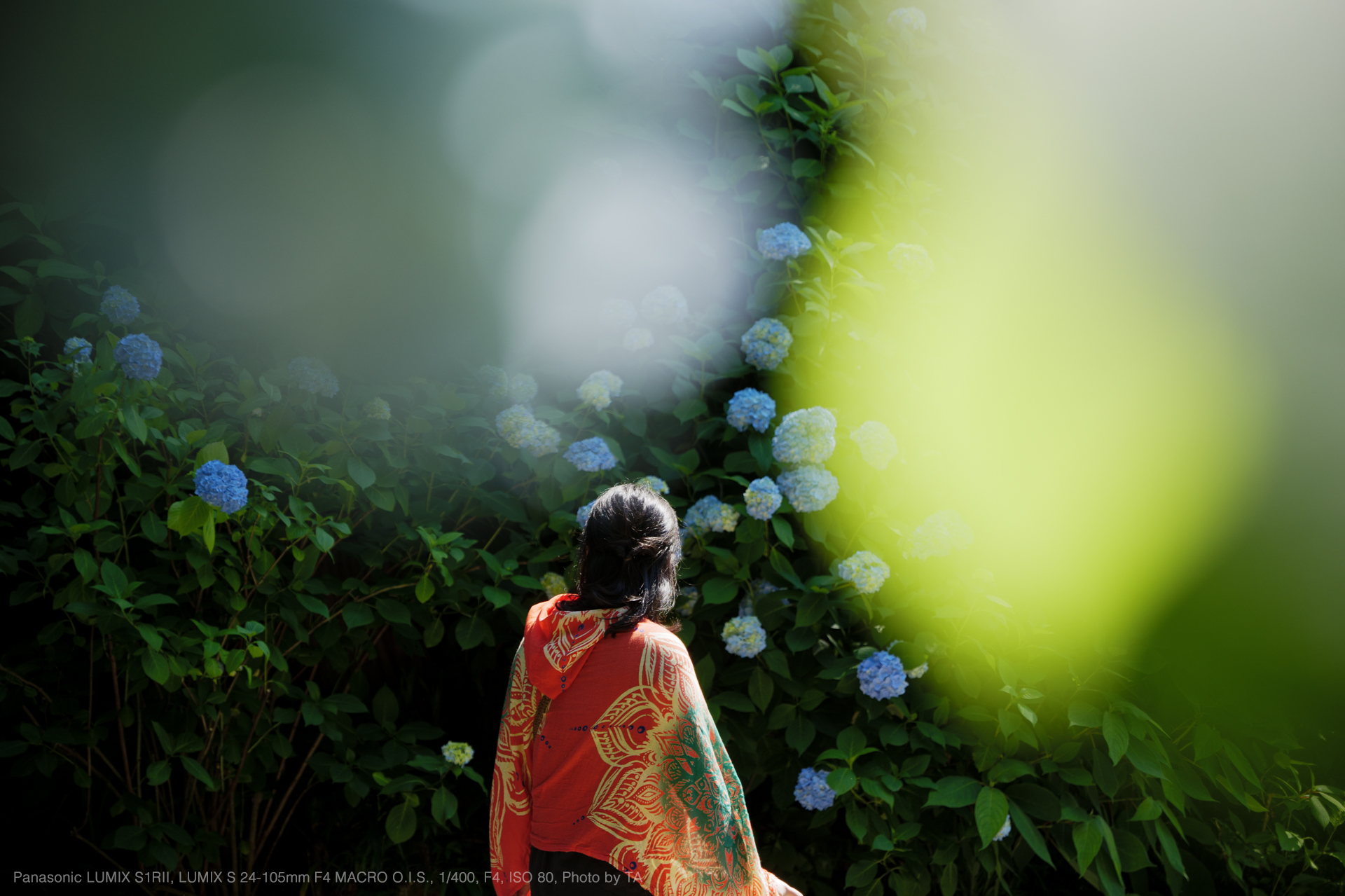 Panasonic LUMIX S1R II, LUMIX S 24-105mm F4 MACRO O.I.S., Photo by TA