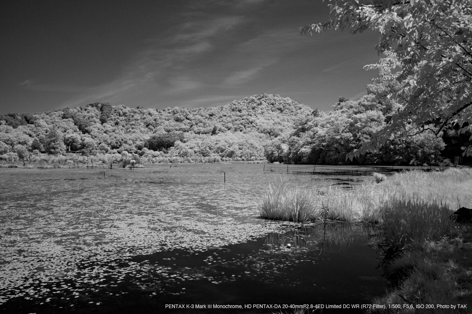 PENTAX K-3 Mark III Monochrome, HD PENTAX-DA 20-40mmF2.8-4ED Limited DC WR (R72 Filter), Photo by TAK