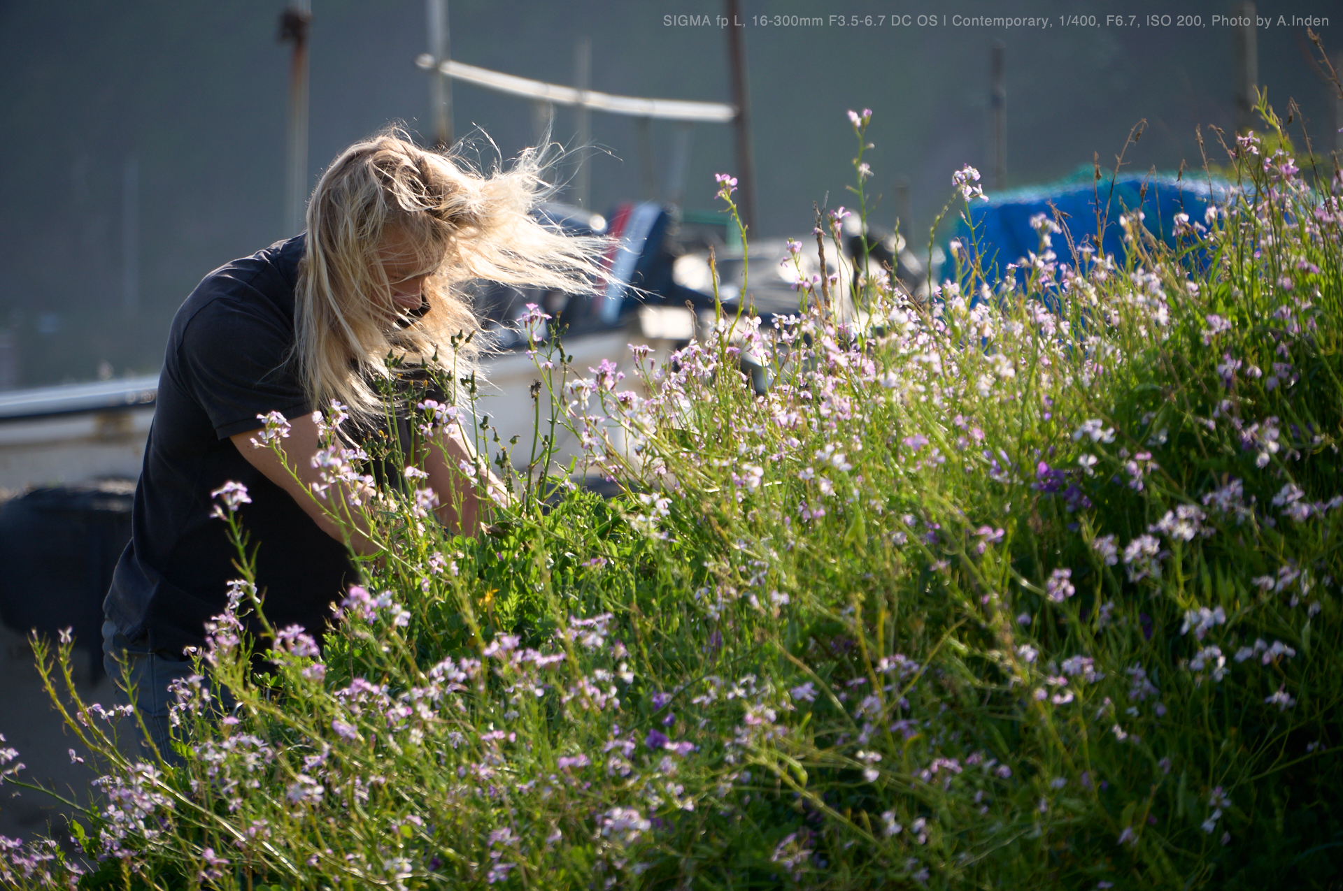 SIGMA fp L, 16-300mm F3.5-6.7 DC OS,Photo by A.Inden