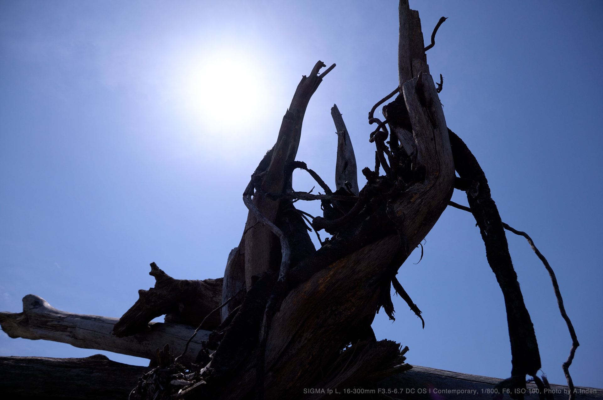 SIGMA fp L, 16-300mm F3.5-6.7 DC OS,Photo by A.Inden