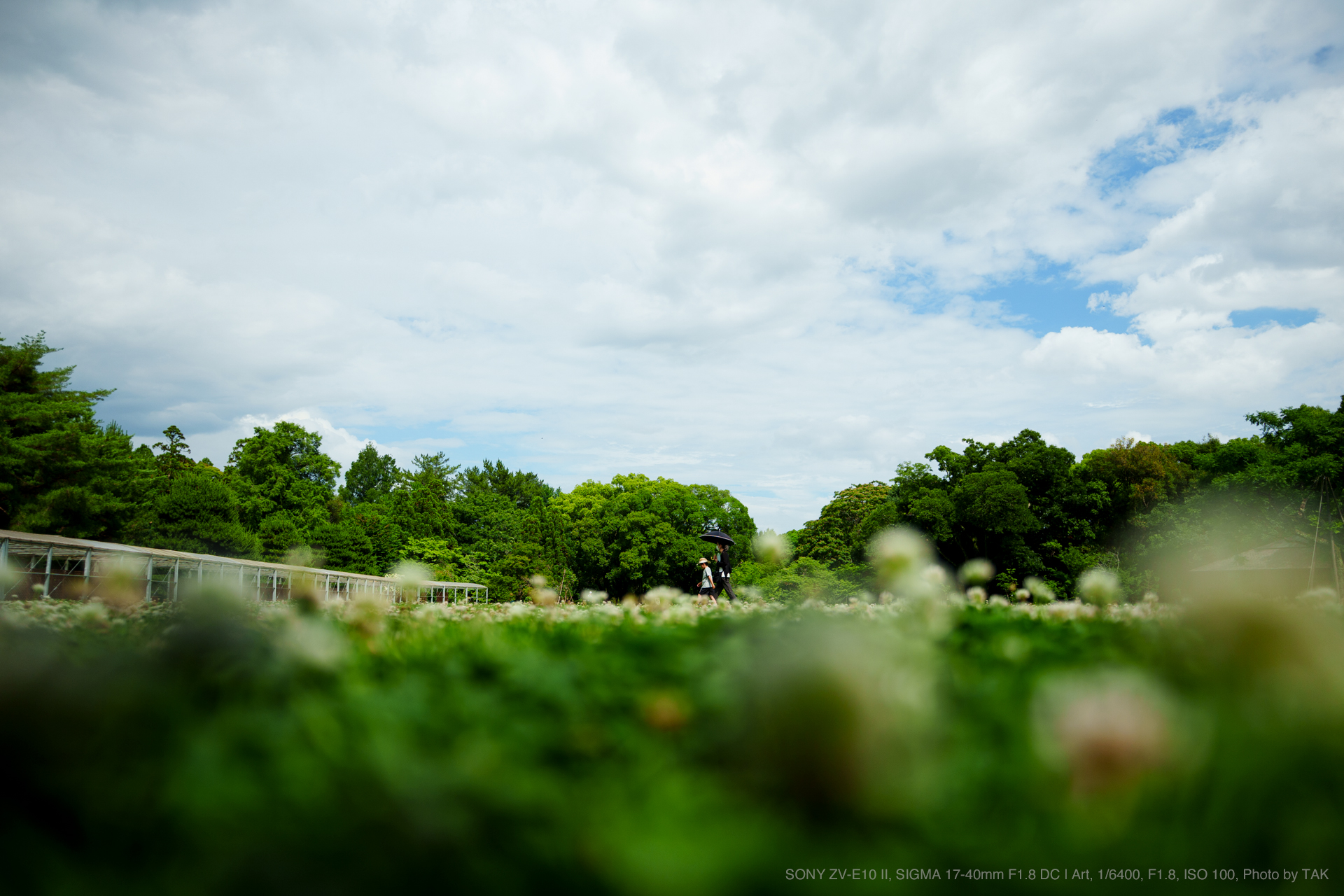 SONY ZV-E10 II, SIGMA 17-40mm F1.8 DC | Art, Photo by TAK