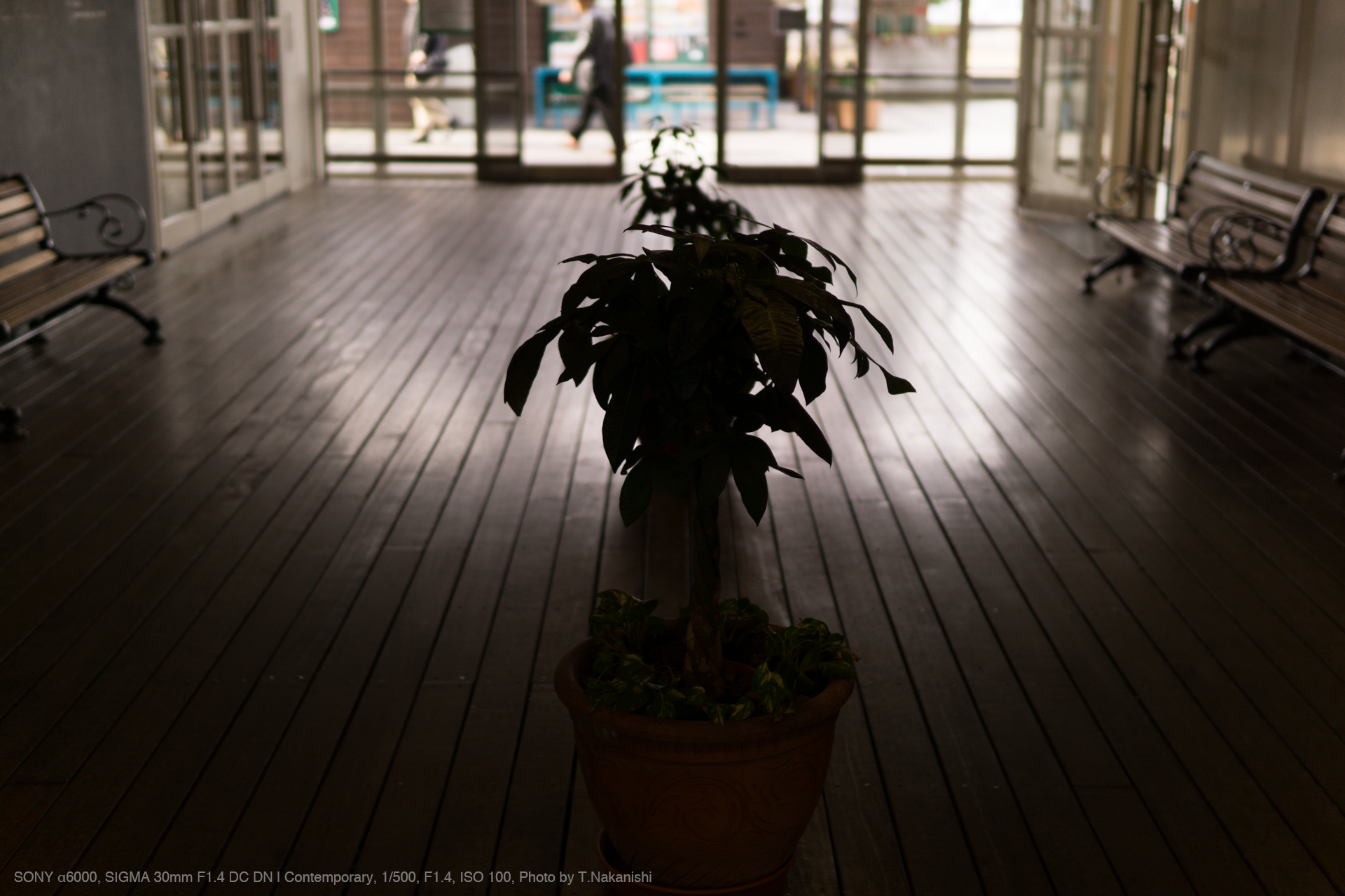 SONY α6000, SIGMA 30mm F1.4 DC DN | Contemporary, 1/500, F1.4, ISO 100, Photo by T.Nakanishi