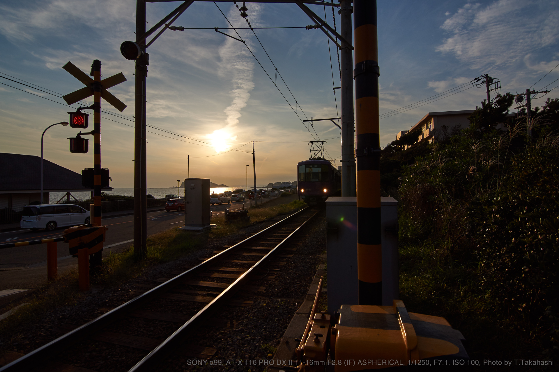 Tokina（トキナー） AT-X 116 PRO DX II 11-16mm F2.8 (IF) ASPHERICAL ...