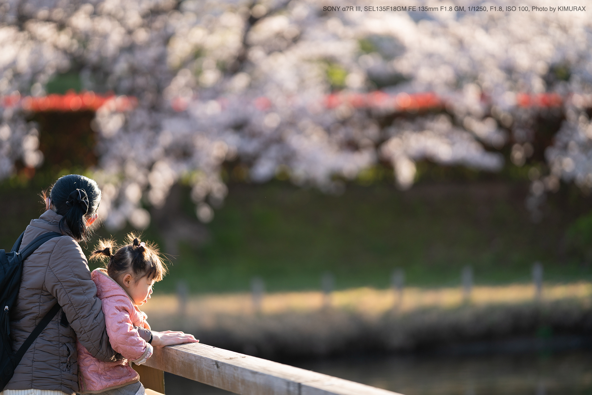 SONY（ソニー） SEL135F18GM FE 135mm F1.8 GM 実写レビュー