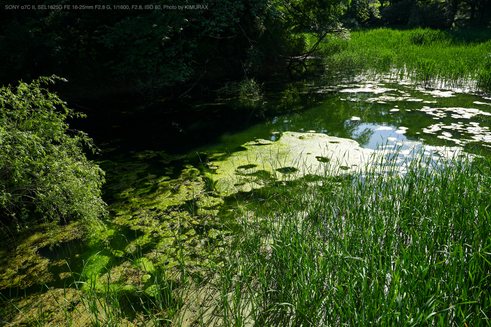 SONY α7C II, SEL1625G FE 16-25mm F2.8 G, Photo by KIMURAX