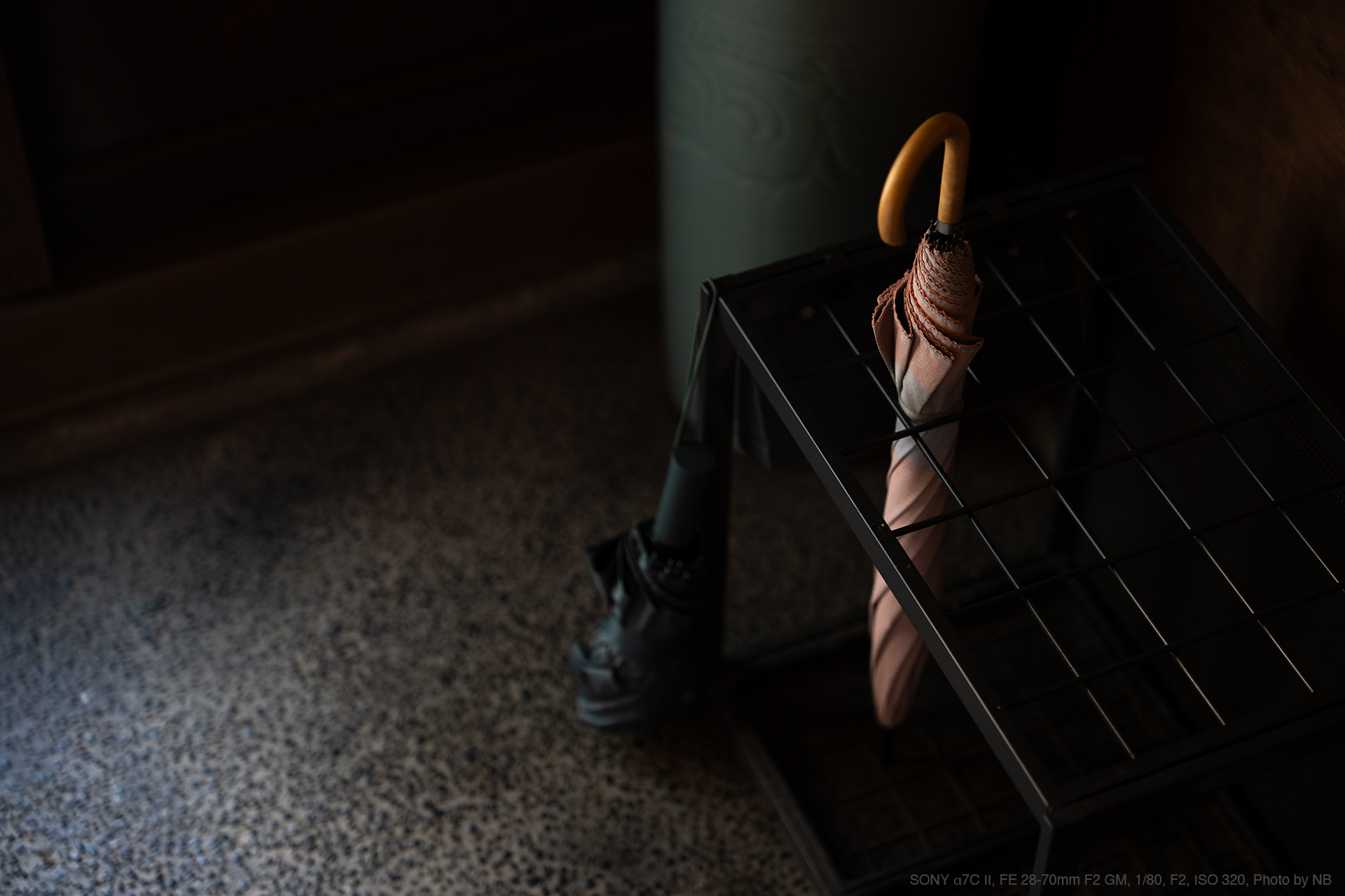 SONY α7C II, FE 28-70mm F2 GM, 1/80, F2, ISO 320, Photo by NB