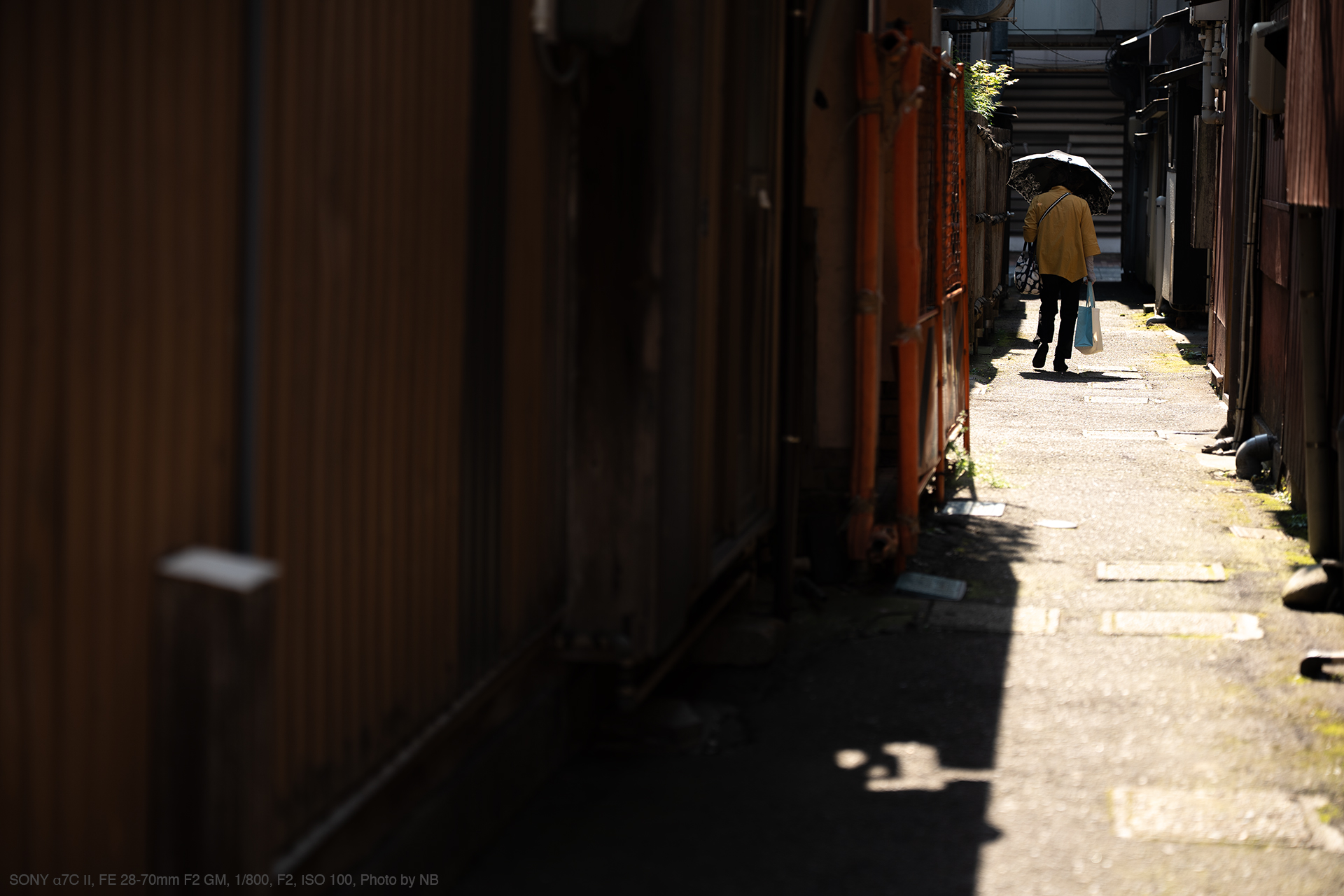 SONY α7C II, FE 28-70mm F2 GM, 1/800, F2, ISO 100, Photo by NB