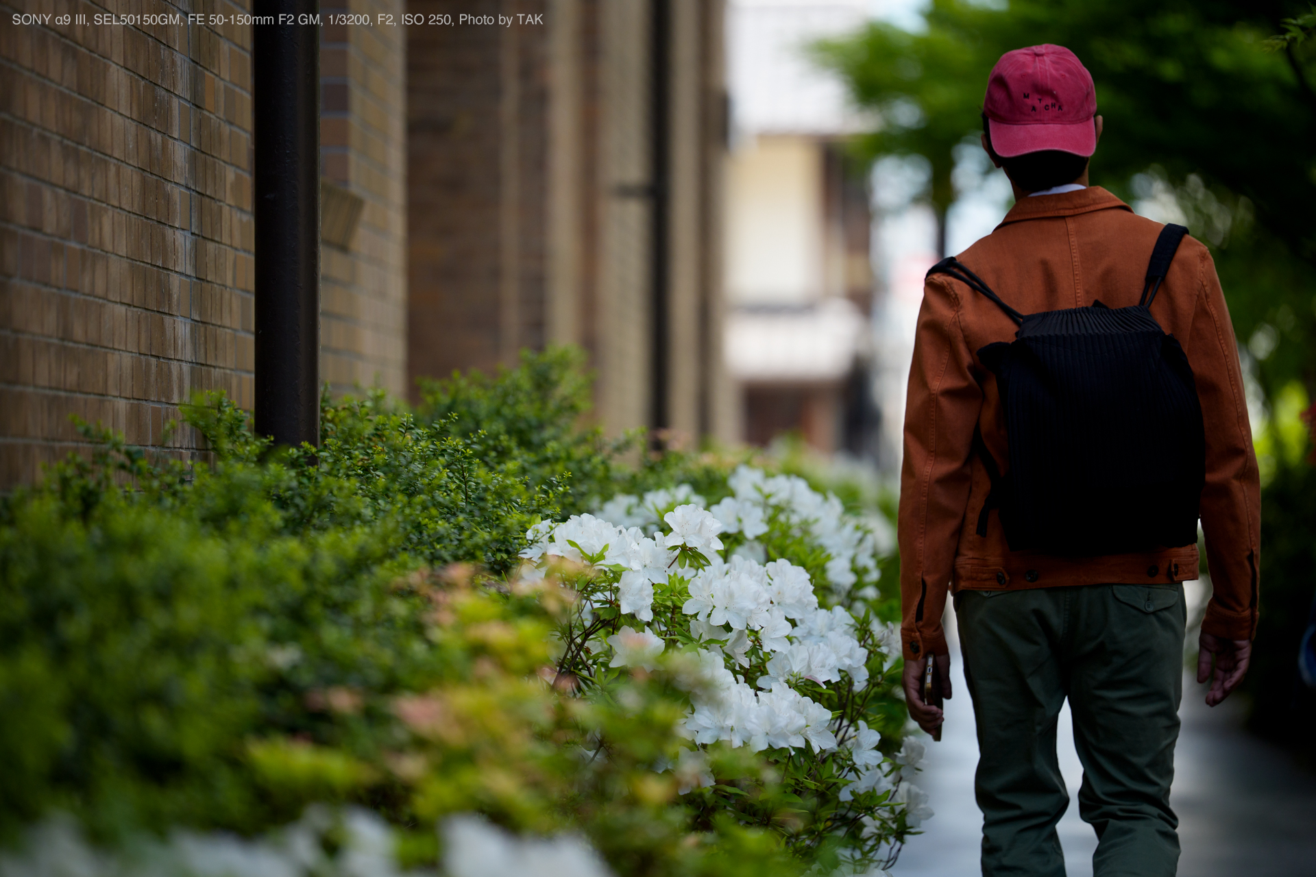 SONY α9 III, SEL50150GM, FE 50-150mm F2 GM, Photo by TAK