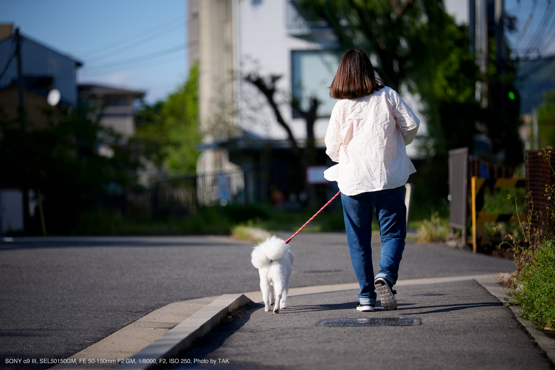 SONY α9 III, SEL50150GM, FE 50-150mm F2 GM, Photo by TAK