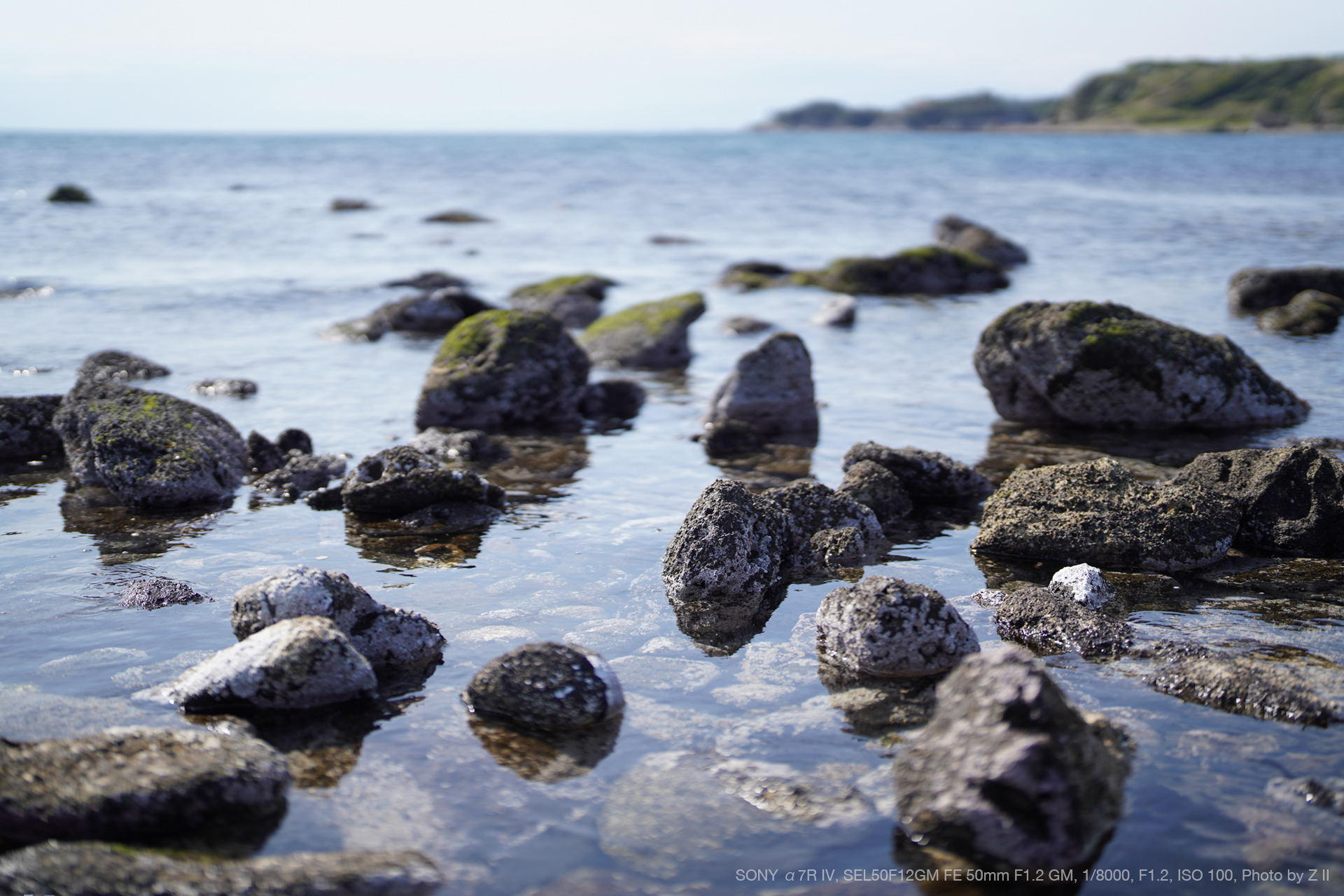 SONY α7R IV, SONY SEL50F12GM FE 50mm F1.2 GM, Photo by Z II