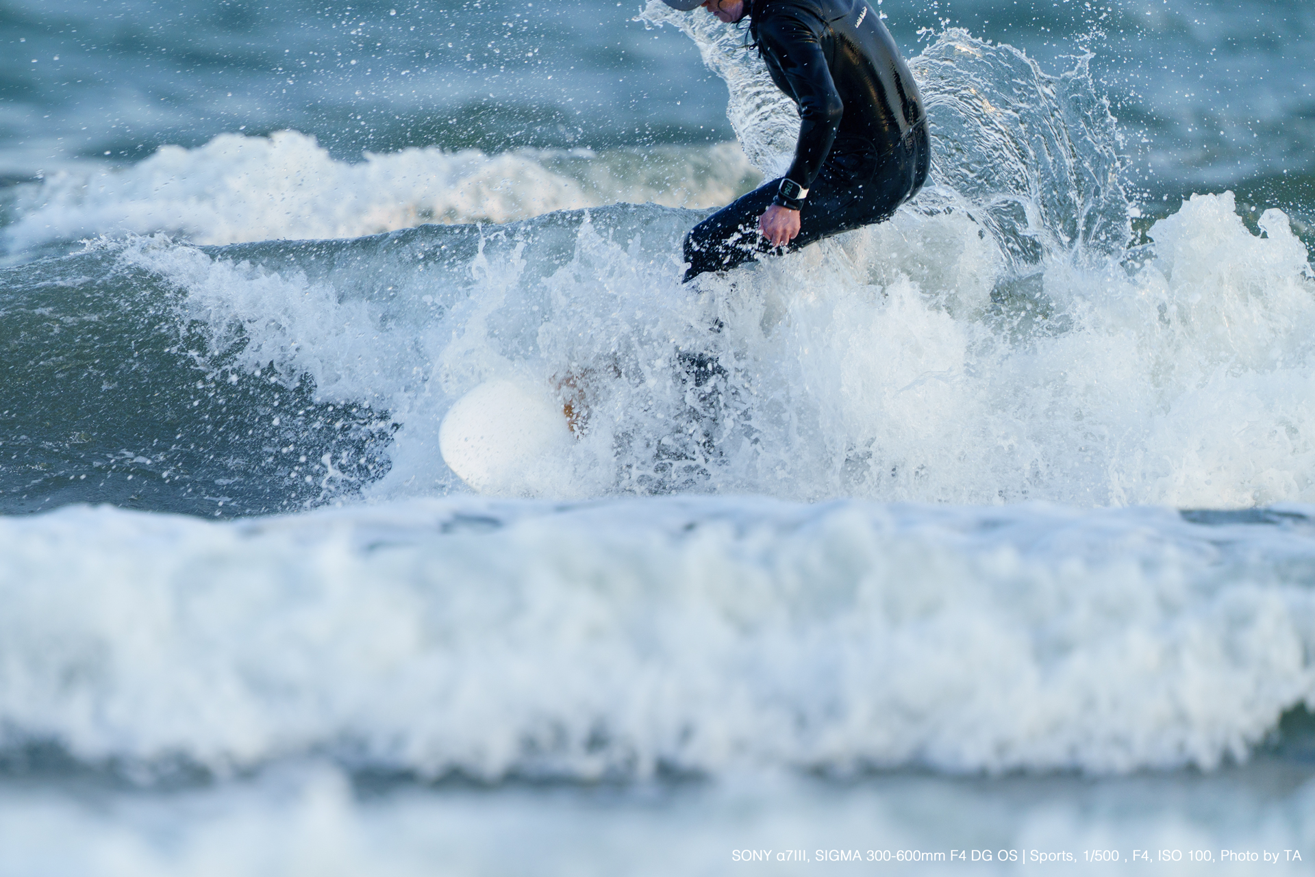 SONY α7III, SIGMA 300-600mm DG OS | Sports, Photo by TA